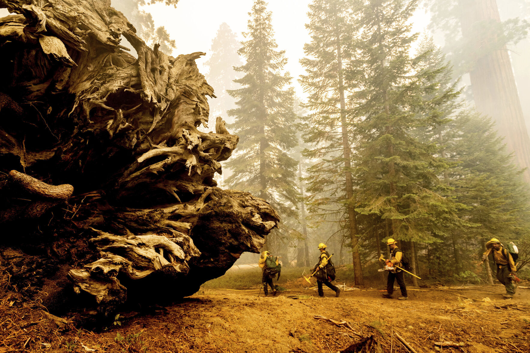 Western Wildfires
